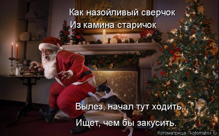 Как назойливый сверчок Из камина старичок Вылез, начал тут ходить... Ищет, чем бы закусить.... Котоматрица: Как назойливый сверчок Из камина старичок Вылез, начал тут ходить... Ищет, чем бы закусить.