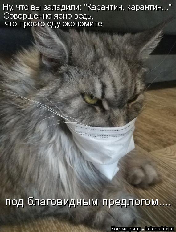 Ну, что вы заладили: "Карантин, карантин..." Совершенно ясно ведь, что просто еду экономите под благо... Котоматрица: Ну, что вы заладили: "Карантин, карантин..." Совершенно ясно ведь, что просто еду экономите под благовидным предлогом....
