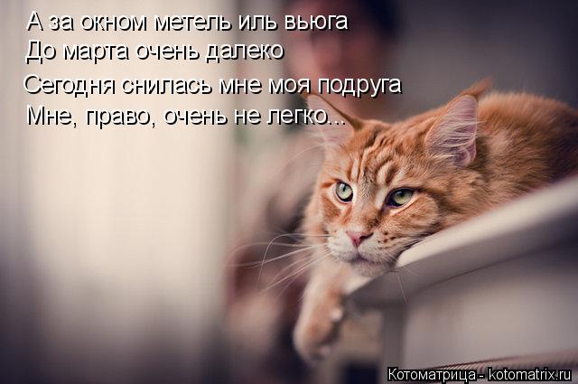 А за окном метель иль вьюга До марта очень далеко Сегодня снилась мне моя подруга Мне, право, очень н... Котоматрица: А за окном метель иль вьюга До марта очень далеко Сегодня снилась мне моя подруга Мне, право, очень не легко...