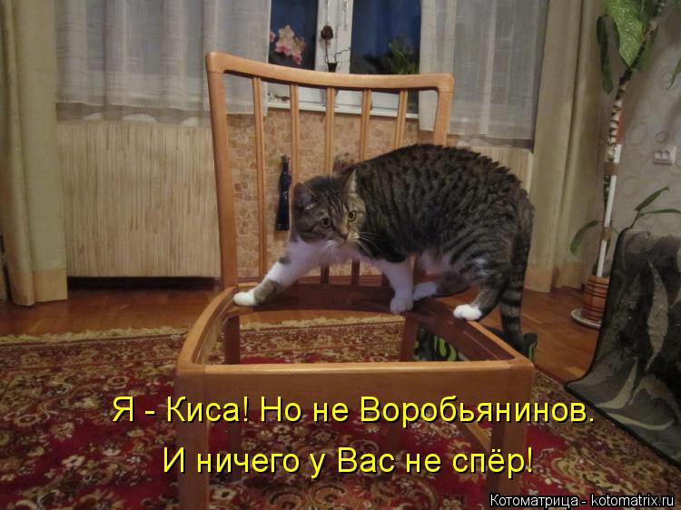 Я - Киса! Но не Воробьянинов. И ничего у Вас не спёр!... Котоматрица: Я - Киса! Но не Воробьянинов. И ничего у Вас не спёр!