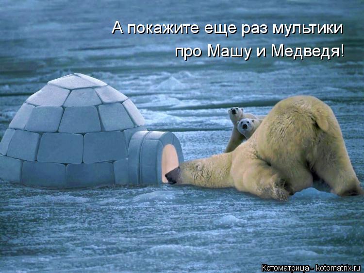 А покажите еще раз мультики про Машу и Медведя!... Котоматрица: А покажите еще раз мультики про Машу и Медведя!