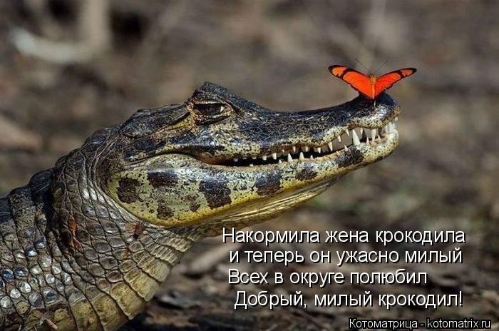 Накормила жена крокодила и теперь он ужасно милый Всех в округе полюбил Добрый, милый крокодил!... Котоматрица: Накормила жена крокодила и теперь он ужасно милый Всех в округе полюбил Добрый, милый крокодил!