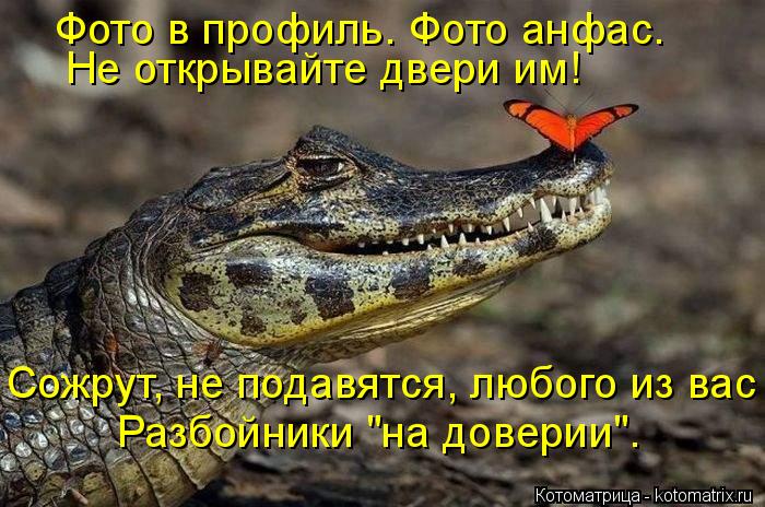 Фото в профиль. Фото анфас. Не открывайте двери им! Сожрут, не подавятся, любого из вас Разбойники "н... Котоматрица: Фото в профиль. Фото анфас. Не открывайте двери им! Сожрут, не подавятся, любого из вас Разбойники "на доверии".