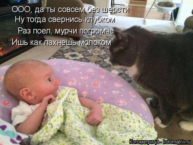 ООО, да ты совсем без шерсти Ну тогда свернись клубком Раз поел, мурчи погромче Ишь как пахнешь молок... Котоматрица: ООО, да ты совсем без шерсти Ну тогда свернись клубком Раз поел, мурчи погромче Ишь как пахнешь молоком
