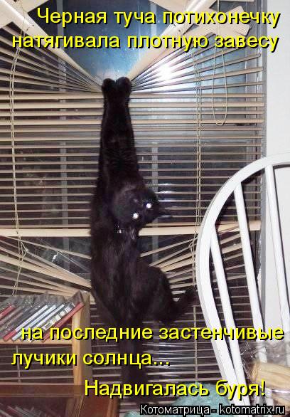 Черная туча потихонечку натягивала плотную завесу на последние застенчивые лучики солнца... Надвиг... Котоматрица: Черная туча потихонечку натягивала плотную завесу на последние застенчивые лучики солнца... Надвигалась буря!