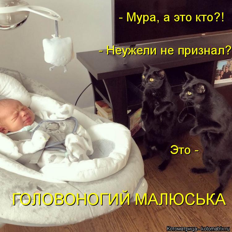 - Мура, а это кто?! - Неужели не признал? Это - ГОЛОВОНОГИЙ МАЛЮСЬКА... Котоматрица: - Мура, а это кто?! - Неужели не признал? Это - ГОЛОВОНОГИЙ МАЛЮСЬКА