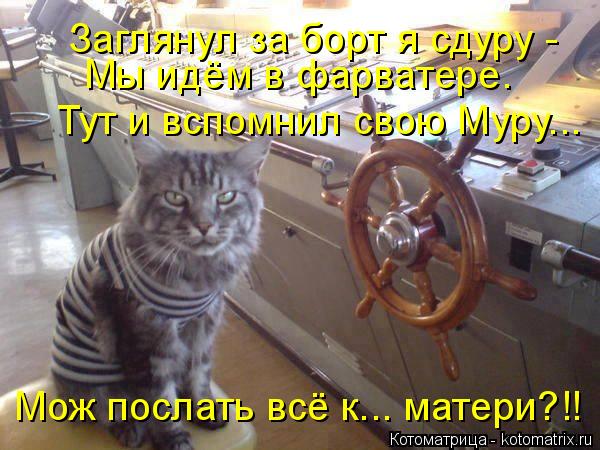 Заглянул за борт я сдуру - Мы идём в фарватере. Тут и вспомнил свою Муру... Мож послать всё к... мате... Котоматрица: Заглянул за борт я сдуру - Мы идём в фарватере. Тут и вспомнил свою Муру... Мож послать всё к... матери?!!