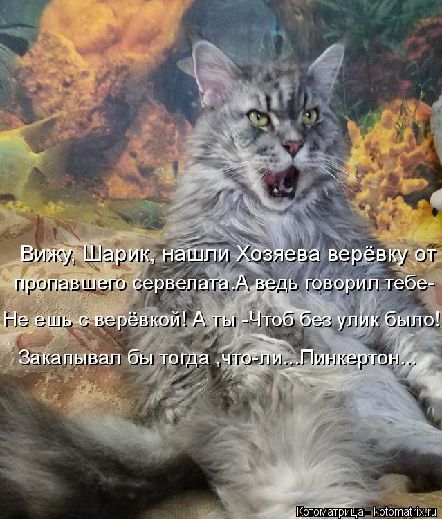 Вижу, Шарик, нашли Хозяева верёвку от пропавшего сервелата.А ведь говорил тебе- Не ешь с верёвкой! А... Котоматрица: Вижу, Шарик, нашли Хозяева верёвку от пропавшего сервелата.А ведь говорил тебе- Не ешь с верёвкой! А ты -Чтоб без улик было! Закапывал бы тогд