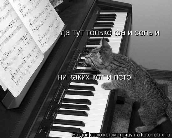 да тут только фа и соль и ни каких кот и лето... Котоматрица: да тут только фа и соль и ни каких кот и лето