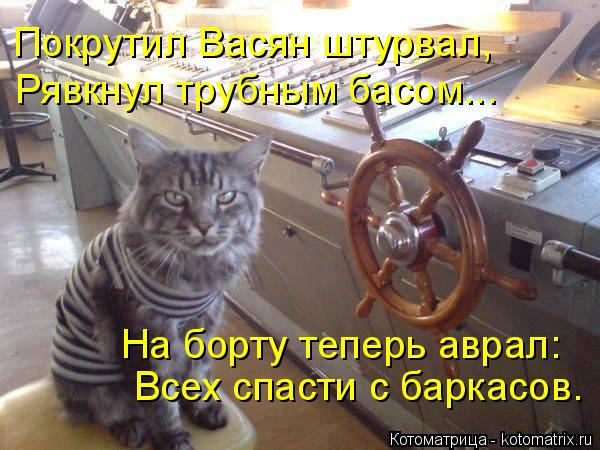 Покрутил Васян штурвал, Рявкнул трубным басом... На борту теперь аврал: Всех спасти с баркасов.... Котоматрица: Покрутил Васян штурвал, Рявкнул трубным басом... На борту теперь аврал: Всех спасти с баркасов.