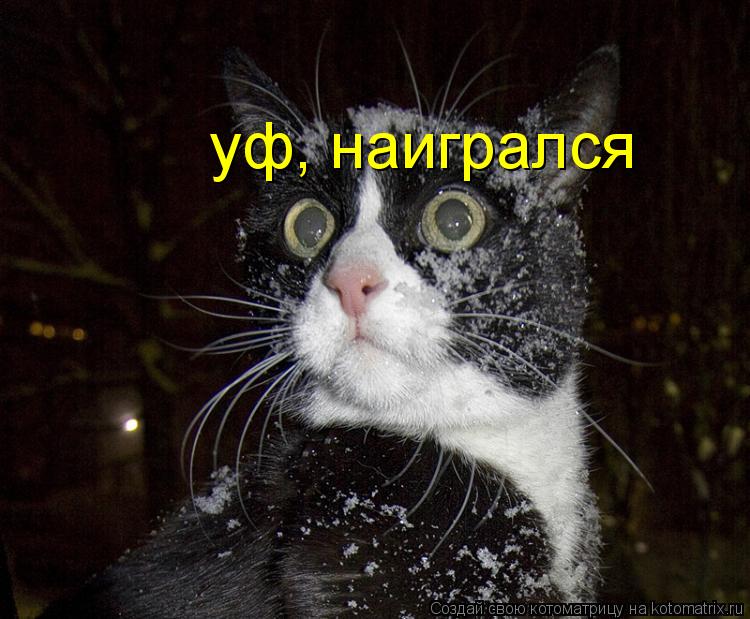 yф, наигрался... Котоматрица: yф, наигрался