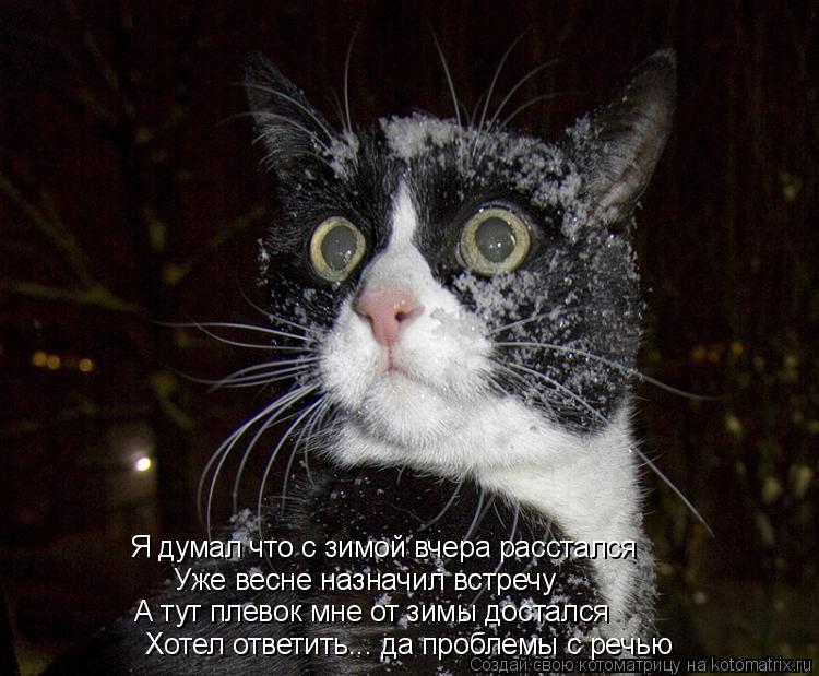 Я думал что с зимой вчера расстался Уже весне назначил встречу А тут плевок мне от зимы достался Хот... Котоматрица: Я думал что с зимой вчера расстался Уже весне назначил встречу А тут плевок мне от зимы достался Хотел ответить... да проблемы с речью
