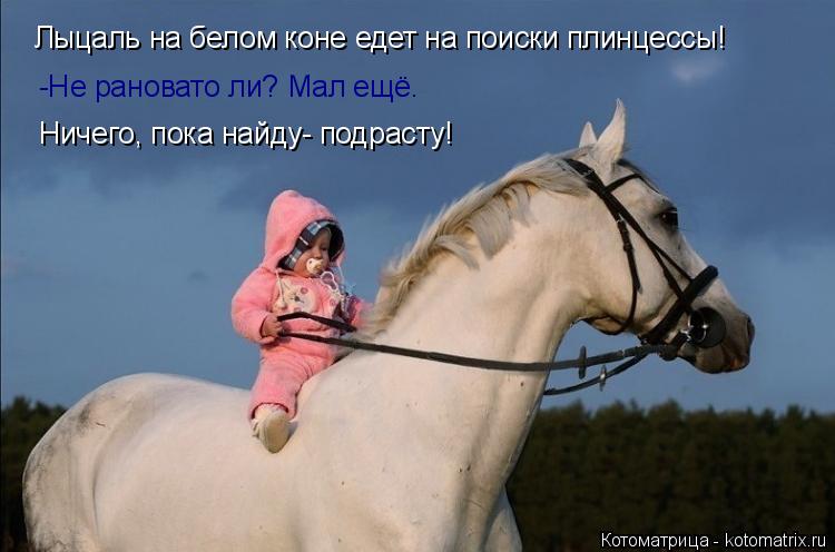 Лыцаль на белом коне едет на поиски плинцессы! -Не рановато ли? Мал ещё. Ничего, пока найду- подрасту... Котоматрица: Лыцаль на белом коне едет на поиски плинцессы! -Не рановато ли? Мал ещё. Ничего, пока найду- подрасту!