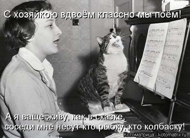 С хозяйкою вдвоём классно мы поём! А я ваще живу, как в сказке, соседи мне несут кто рыбку, кто колба... Котоматрица: С хозяйкою вдвоём классно мы поём! А я ваще живу, как в сказке, соседи мне несут кто рыбку, кто колбаску!
