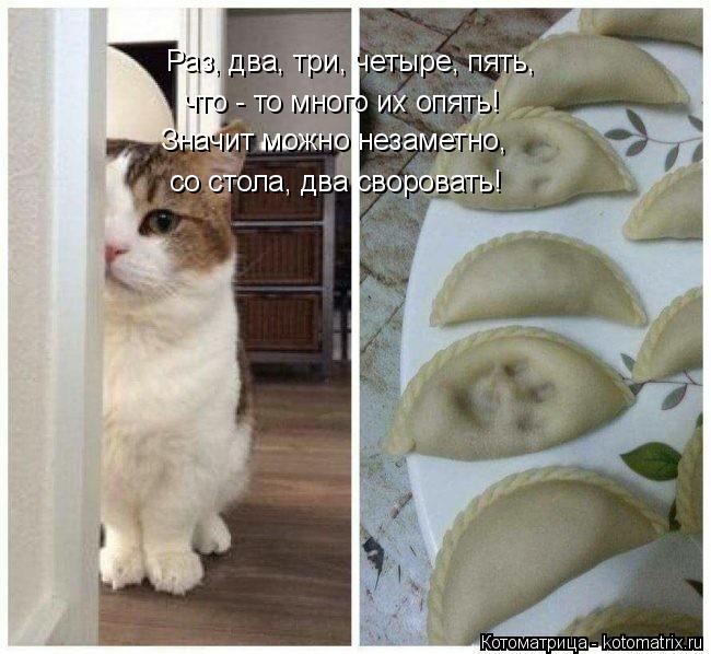 Значит можно незаметно, Раз, два, три, четыре, пять, что - то много их опять! со стола, два своровать... Котоматрица: Значит можно незаметно, Раз, два, три, четыре, пять, что - то много их опять! со стола, два своровать!