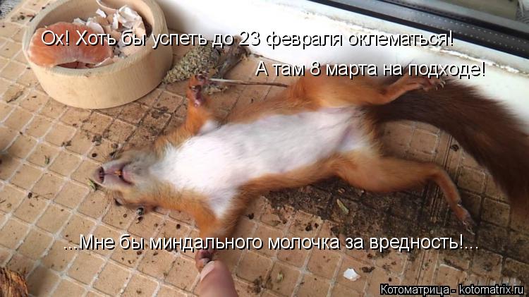Ох! Хоть бы успеть до 23 февраля оклематься! А там 8 марта на подходе! ...Мне бы миндального молочка ... Котоматрица: Ох! Хоть бы успеть до 23 февраля оклематься! А там 8 марта на подходе! ...Мне бы миндального молочка за вредность!...