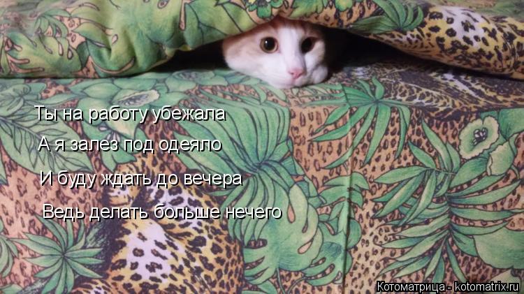 Ты на работу убежала А я залез под одеяло И буду ждать до вечера Ведь делать больше нечего... Котоматрица: Ты на работу убежала А я залез под одеяло И буду ждать до вечера Ведь делать больше нечего