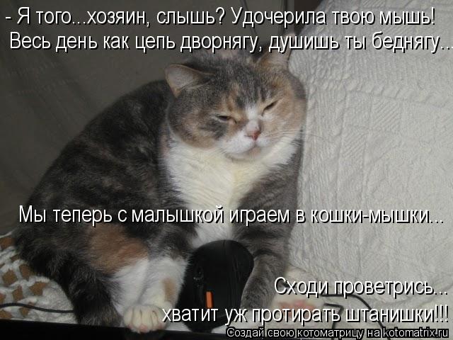 - Я того...хозяин, слышь? Удочерила твою мышь! Весь день как цепь дворнягу, душишь ты беднягу... Мы т... Котоматрица: - Я того...хозяин, слышь? Удочерила твою мышь! Весь день как цепь дворнягу, душишь ты беднягу... Мы теперь с малышкой играем в кошки-мышки... Сход