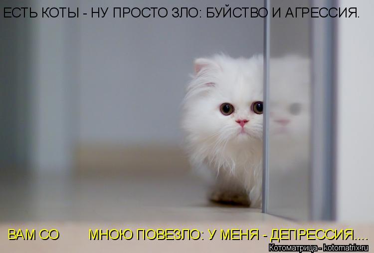 ЕСТЬ КОТЫ - НУ ПРОСТО ЗЛО: БУЙСТВО И АГРЕССИЯ. ВАМ СО МНОЮ ПОВЕЗЛО: У МЕНЯ - ДЕПРЕССИЯ....... Котоматрица: ЕСТЬ КОТЫ - НУ ПРОСТО ЗЛО: БУЙСТВО И АГРЕССИЯ. ВАМ СО МНОЮ ПОВЕЗЛО: У МЕНЯ - ДЕПРЕССИЯ....