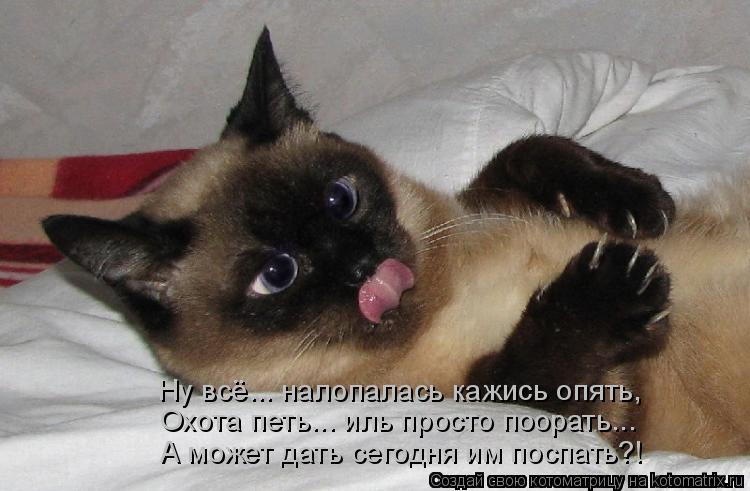 Ну всё... налопалась кажись опять, Охота петь... иль просто поорать... А может дать сегодня им поспа... Котоматрица: Ну всё... налопалась кажись опять, Охота петь... иль просто поорать... А может дать сегодня им поспать?!