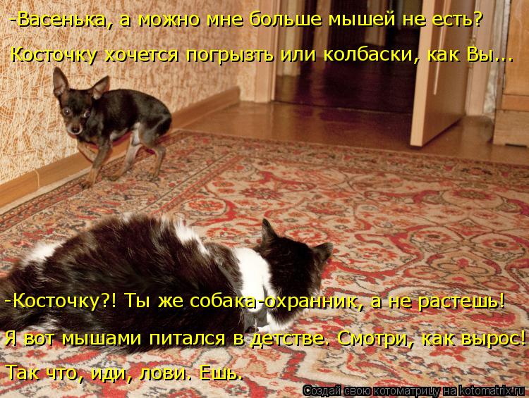 -Васенька, а можно мне больше мышей не есть? Косточку хочется погрызть или колбаски, как Вы... Так чт... Котоматрица: -Васенька, а можно мне больше мышей не есть? Косточку хочется погрызть или колбаски, как Вы... Так что, иди, лови. Ешь. Я вот мышами питался в де?