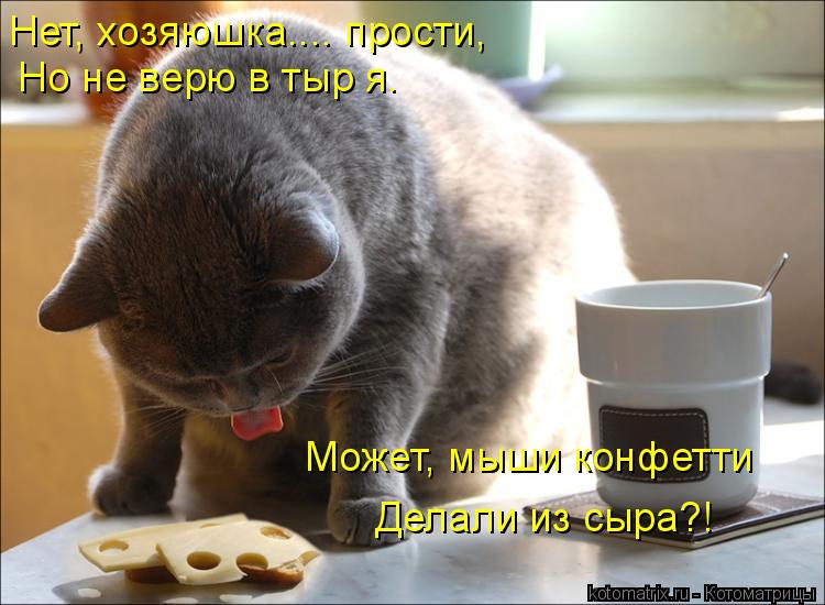 Котоматрица: Но не верю в тыр я. Может, мыши конфетти Делали из сыра?! Нет, хозяюшка.... прости,