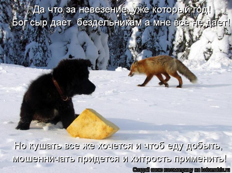 Да что за невезение, уже который год! Бог сыр дает бездельникам а мне все не дает! Но кушать все же ... Котоматрица: Да что за невезение, уже который год! Бог сыр дает бездельникам а мне все не дает! Но кушать все же хочется и чтоб еду добыть, мошенничать при