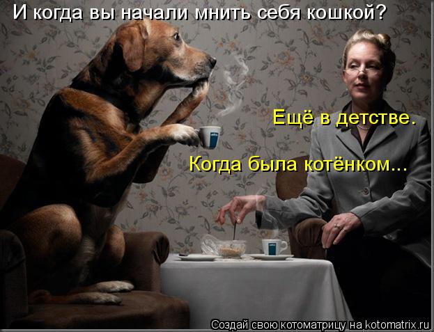 И когда вы начали мнить себя кошкой? Ещё в детстве. Когда была котёнком...... Котоматрица: И когда вы начали мнить себя кошкой? Ещё в детстве. Когда была котёнком...