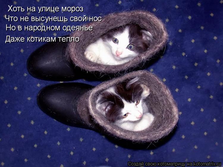 Хоть на улице мороз Что не высунешь свой нос Но в народном одеянье Даже котикам тепло... Котоматрица: Хоть на улице мороз Что не высунешь свой нос Но в народном одеянье Даже котикам тепло
