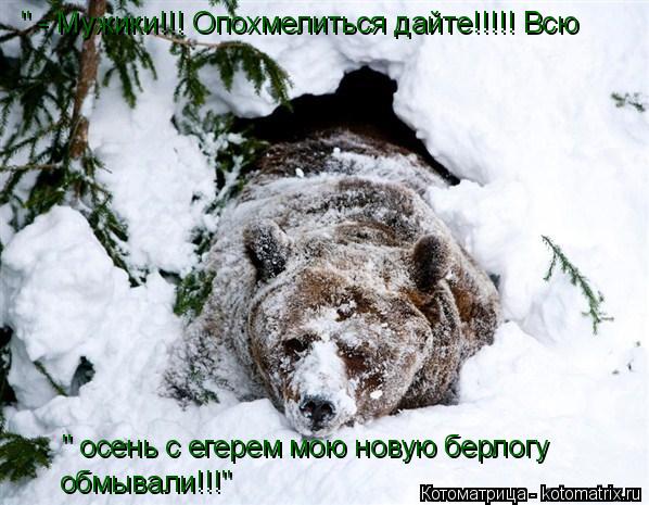 " - Мужики!!! Опохмелиться дайте!!!!! Всю " осень с егерем мою новую берлогу обмывали!!!"... Котоматрица: " - Мужики!!! Опохмелиться дайте!!!!! Всю " осень с егерем мою новую берлогу обмывали!!!"
