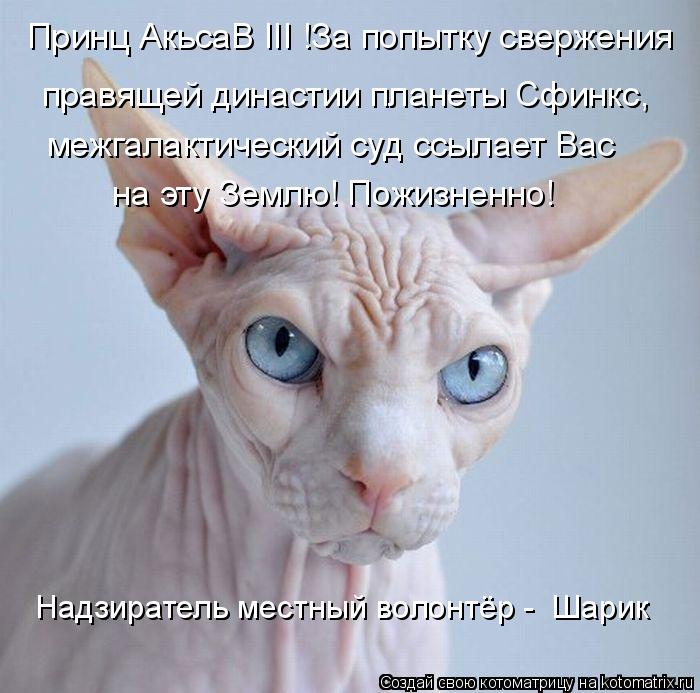 Принц АкьсаВ III !За попытку свержения правящей династии планеты Сфинкс, межгалактический суд ссылае... Котоматрица: Принц АкьсаВ III !За попытку свержения правящей династии планеты Сфинкс, межгалактический суд ссылает Вас на эту Землю! Пожизненно! Надзира