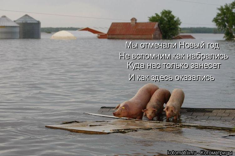 Мы отмечали Новый год Куда нас только занесет И как здесь оказались Не вспомним как набрались... Котоматрица: Мы отмечали Новый год Куда нас только занесет И как здесь оказались Не вспомним как набрались