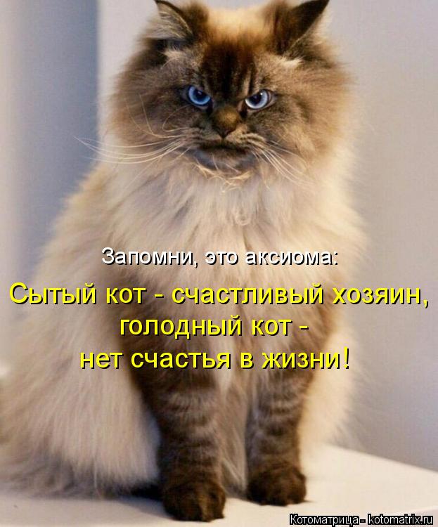 Котоматрица: Запомни, это аксиома: Сытый кот - счастливый хозяин, голодный кот - нет счастья в жизни!
