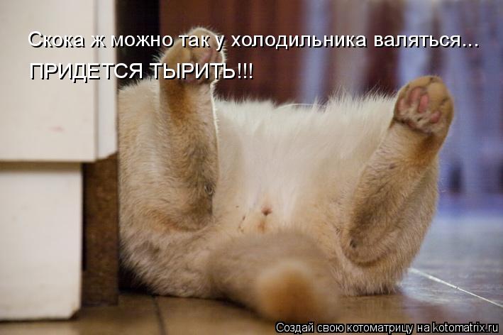Скока ж можно так у холодильника валяться... ПРИДЕТСЯ ТЫРИТЬ!!!... Котоматрица: Скока ж можно так у холодильника валяться... ПРИДЕТСЯ ТЫРИТЬ!!!