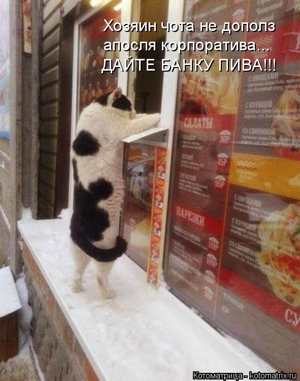 Котоматрица: Хозяин чота не дополз  апосля корпоратива... ДАЙТЕ БАНКУ ПИВА!!!