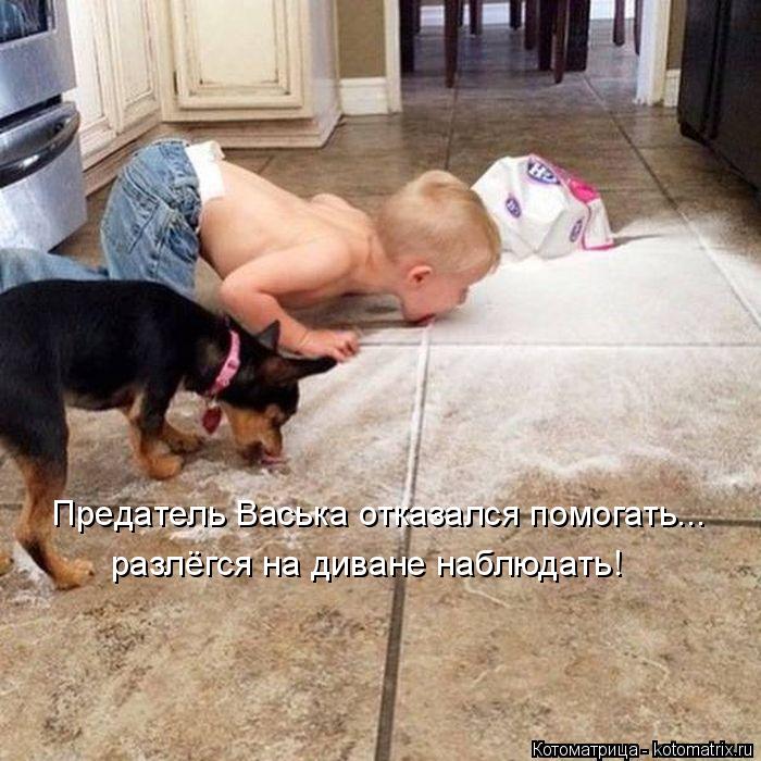 Предатель Васька отказался помогать... разлёгся на диване наблюдать!... Котоматрица: Предатель Васька отказался помогать... разлёгся на диване наблюдать!