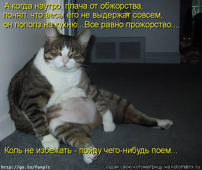 А когда наутро, плача от обжорства, понял, что весы его не выдержат совсем, он пополз на кухню...Вс... Котоматрица: А когда наутро, плача от обжорства, понял, что весы его не выдержат совсем, он пополз на кухню...Все равно прожорство.... Коль не избежать - пой