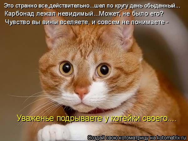 Это странно все,действительно...шел по кругу день обыденный... Карбонад лежал невидимый...Может, не б... Котоматрица: Это странно все,действительно...шел по кругу день обыденный... Карбонад лежал невидимый...Может, не было его? Уваженье подрываете у котейки св