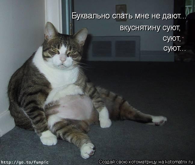 Котоматрица: Буквально спать мне не дают... Буквально спать мне не дают... вкуснятину суют,  суют, суют...