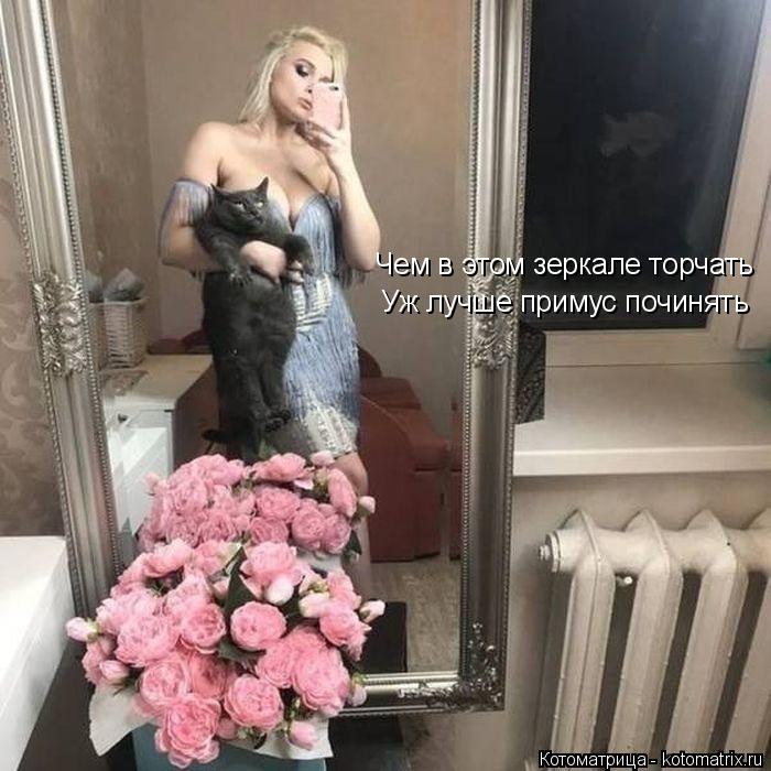 Котоматрица: Чем в этом зеркале торчать Уж лучше примус починять