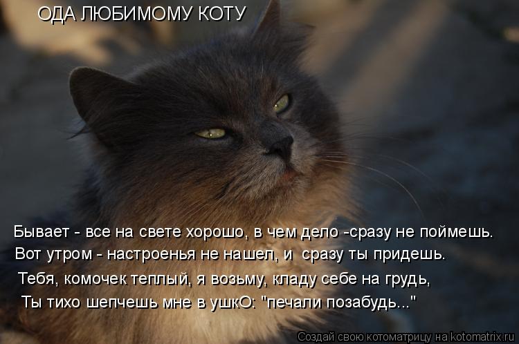 Котоматрица: ОДА ЛЮБИМОМУ КОТУ Бывает - все на свете хорошо, в чем дело -сразу не поймешь.  Тебя, комочек теплый, я возьму, кладу себе на грудь,  Вот утром - н?