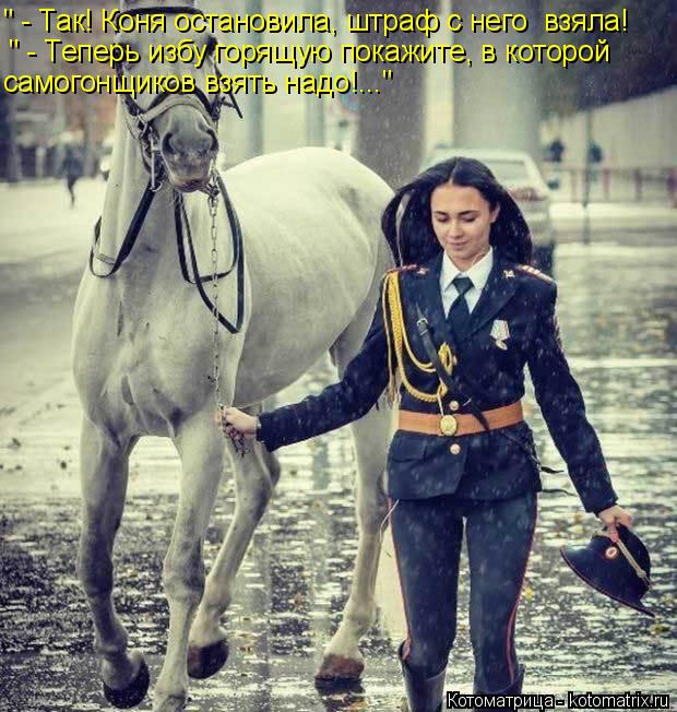 Котоматрица: " - Так! Коня остановила, штраф с него  взяла! " - Теперь избу горящую покажите, в которой самогонщиков взять надо!..."