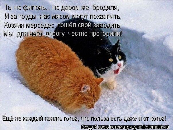 Ты не филонь... не даром же бродили, И за труды нас мясом могут похвалить, Хозяин мерседес пошёл с... Котоматрица: Ты не филонь... не даром же бродили, И за труды нас мясом могут похвалить, Хозяин мерседес пошёл свой заводить, Мы для него дорогу честно п?