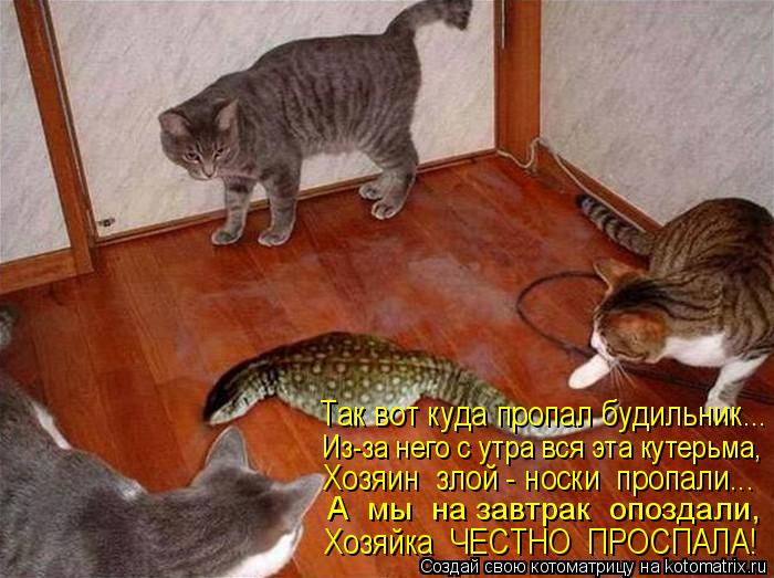 Так вот куда пропал будильник... Из-за него с утра вся эта кутерьма, Хозяин злой - носки пропали...... Котоматрица: Так вот куда пропал будильник... Из-за него с утра вся эта кутерьма, Хозяин злой - носки пропали... А мы на завтрак опоздали, Хозяйка ЧЕСТНО