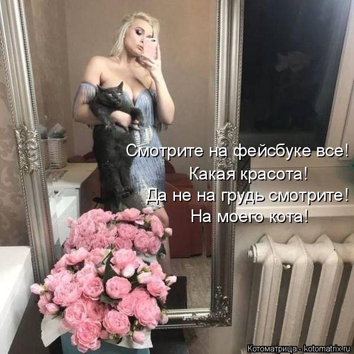 Котоматрица: На моего кота! Да не на грудь смотрите! Какая красота! Смотрите на фейсбуке все!