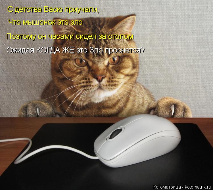 Котоматрица: С детства Васю приучали, Что мышонок это зло Поэтому он часами сидел за столом Ожидая КОГДА ЖЕ это Зло проснется?