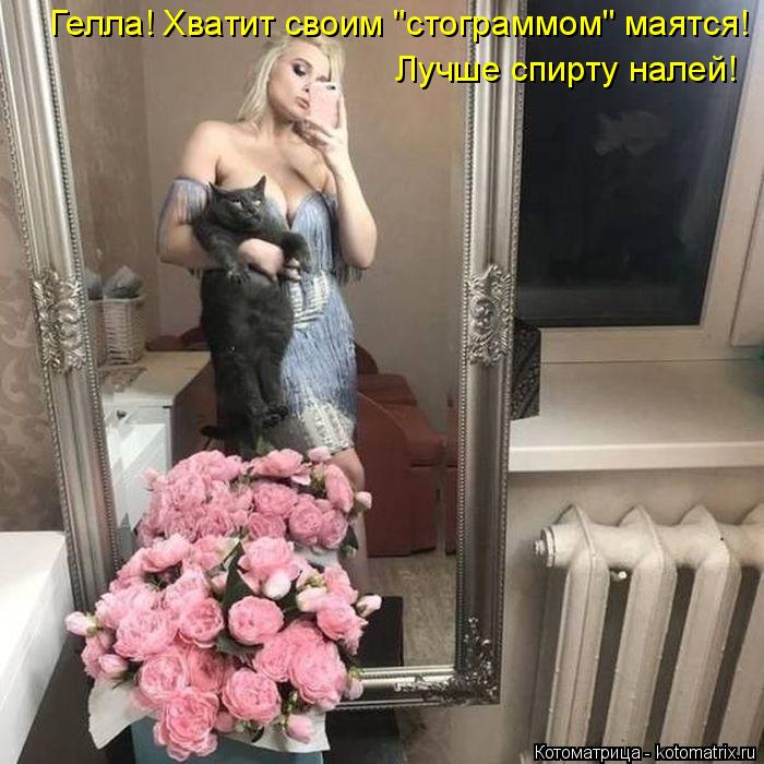 Котоматрица: Гелла! Хватит своим "стограммом" маятся! Лучше спирту налей!