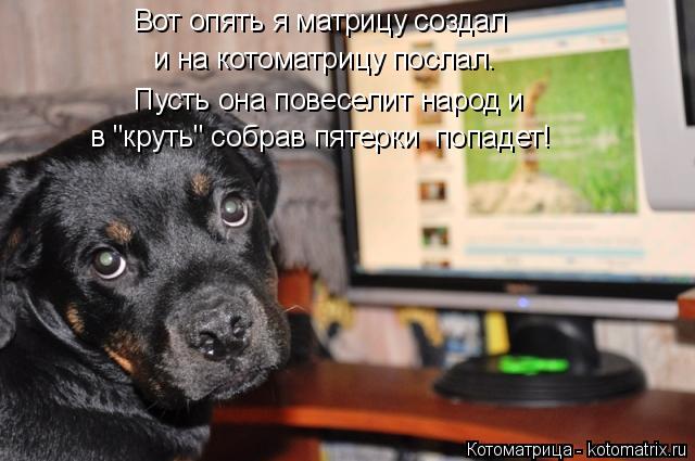 Котоматрица: Вот опять я матрицу создал и на котоматрицу послал. в "круть" собрав пятерки  попадет! Пусть она повеселит народ и