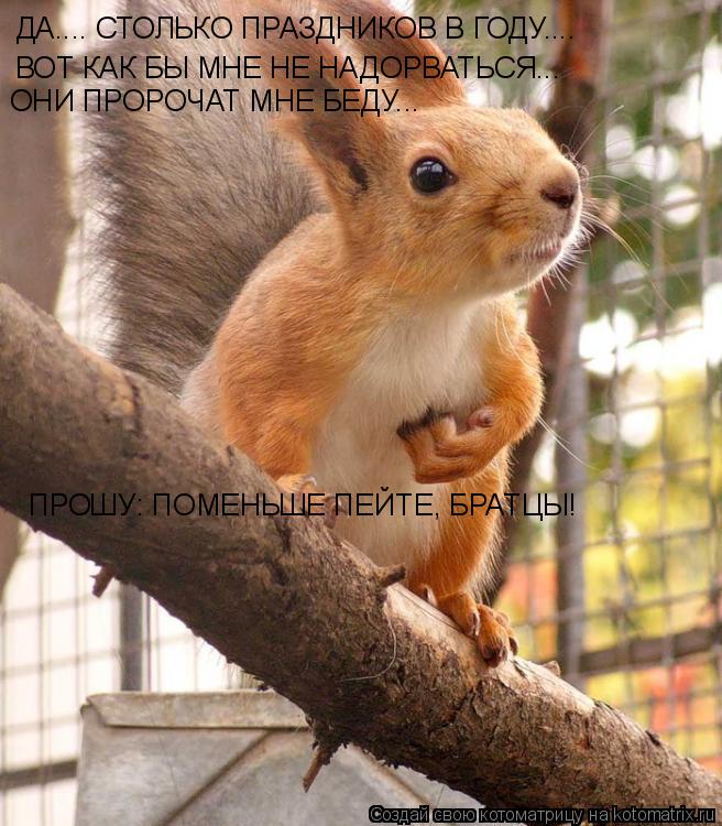 Котоматрица: ДА.... СТОЛЬКО ПРАЗДНИКОВ В ГОДУ.... ВОТ КАК БЫ МНЕ НЕ НАДОРВАТЬСЯ... ОНИ ПРОРОЧАТ МНЕ БЕДУ... ПРОШУ: ПОМЕНЬШЕ ПЕЙТЕ, БРАТЦЫ!