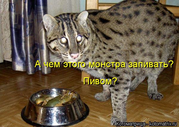 Котоматрица: А чем этого монстра запивать? Пивом?